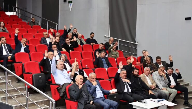 Merzifon Kent Konseyi Başkanlığı’na Belediye Başkanı Alp Kargı yeniden seçildi