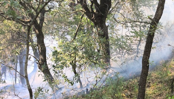 Mudurnu’da yangın kontrol altına alındı