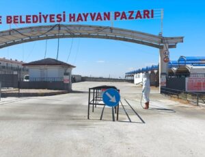 Niğde Belediyesi, çevre illerdeki şap ihbarları üzerine hayvan pazarını dezenfekte etti