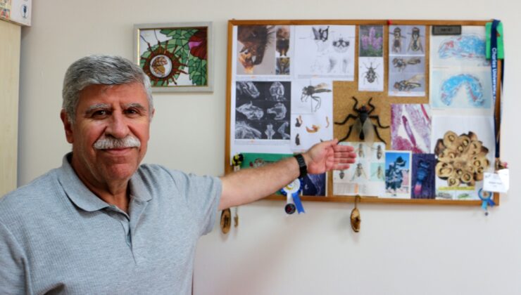 Oğlunu 1 yaşında kaybeden Prof. Dr. Rüstem Hayat, Erzurum’da keşfettiği yeni sinek türüne onun adını verdi