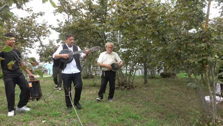 Öğretmen fındık bahçesinde işçilere müzikli moral
