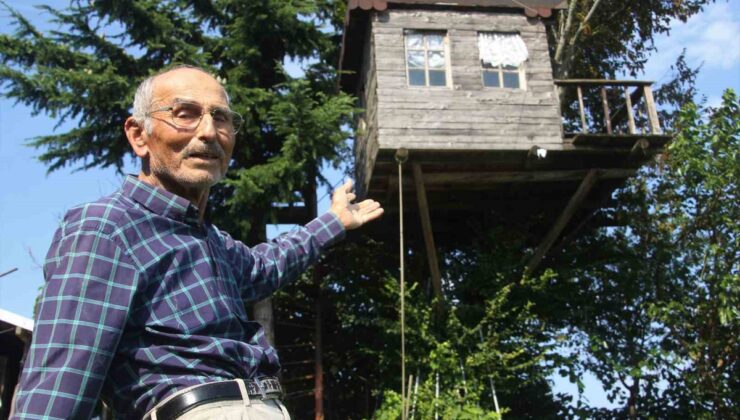 Ordu’da 85 yaşındaki Adnan Çandır, 90 yıllık meşe ağacına 16 metrekarelik ev yaptırdı