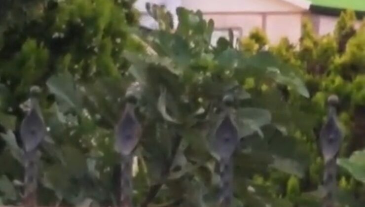 Sakarya Karasu’da çatıdaki oluğu temizlerken akıma kapılan Vahit Abdülhakim (33) öldü