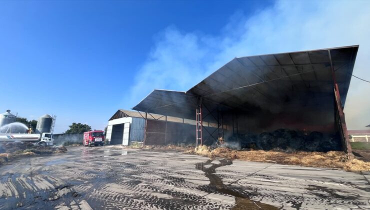 Samsun Bafra’da saman yangını kontrol altına alındı, 435 ton yonca zarar gördü