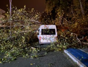 Samsun’da rüzgardan devrilen ağaç araca zarar verdi