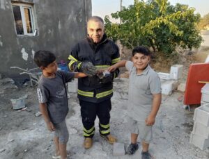Şanlıurfa’da foseptik çukuruna düşen kedi itfaiye ekiplerince kurtarıldı