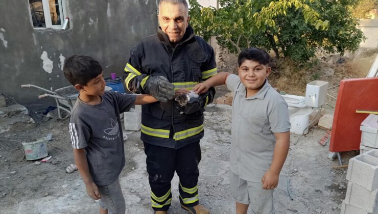 Şanlıurfa’da foseptik çukuruna düşen kedi itfaiye ekiplerince kurtarıldı