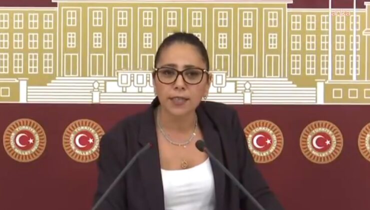 Sera Kadıgil’den sosyal medya hesaplarına erişim engeli getirilmesine tepki: Muhaliflerini yok etmek için tüm enerjisini kullanıyor