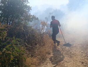 Siirt Doluharman’da orman yangınına Orman ve itfaiye ekipleri yaya müdahale ediyor