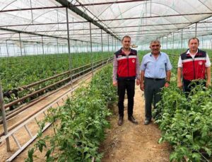 Simav’da İlçe Tarım ve Orman Müdürlüğü personeli seracı üreticileri ziyaret etti