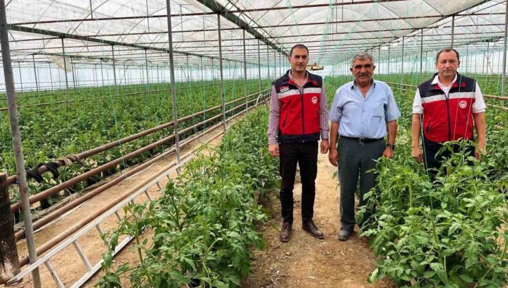 Simav’da İlçe Tarım ve Orman Müdürlüğü personeli seracı üreticileri ziyaret etti