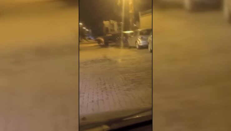 Sinop Saraydüzü’nde ayı, ilçe merkezinde park halindeki araçların arasında görüntülendi