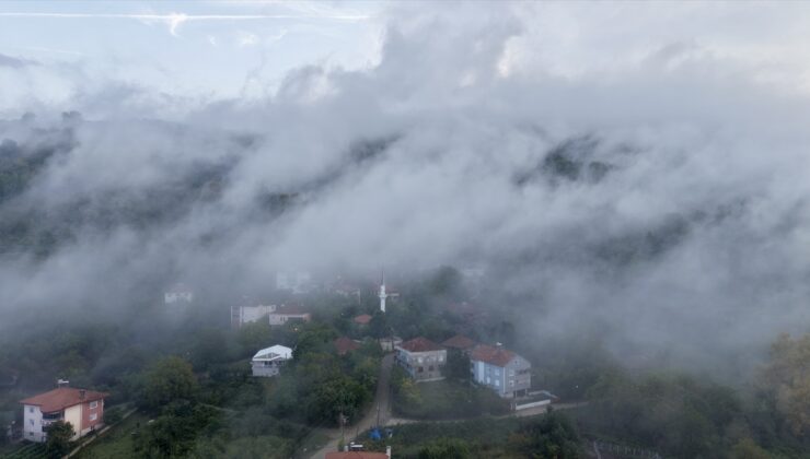 Sinop Türkeli’de sağanak sonrası oluşan bulutlar ormanlık alanda dronla görüntülendi
