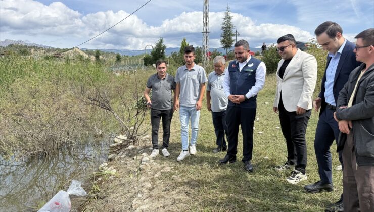 Sinop’ta göletlere 2 bin sazan yavrusu salındı