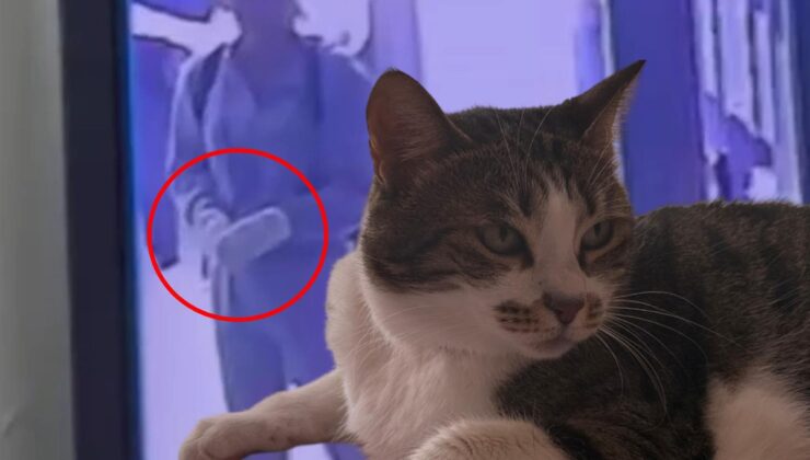 Tek başına 4 hırsızı püskürttü! 4 kez denediler ama taviz vermedi