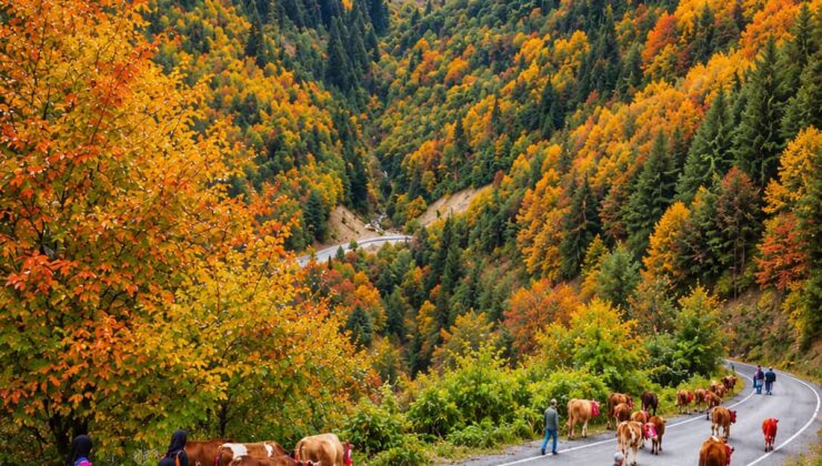 Trabzon Şalpazarı’nda yaylacılar, Gatağacı Yaylası’ndan köylerine dönüşe geçtiler