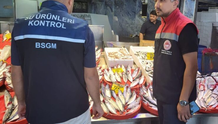 Trabzon’da balık hali ve tezgahlarında denetim yapıldı