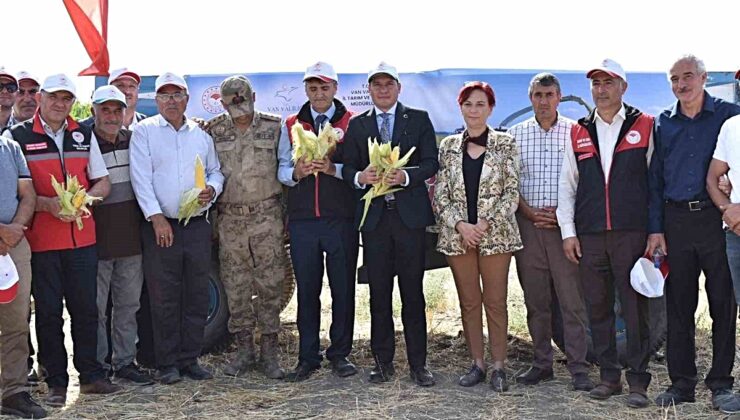 Tuşba’da 1.500 dekarda silajlık mısır hasadında dekardan 6-7 ton verim alınıyor