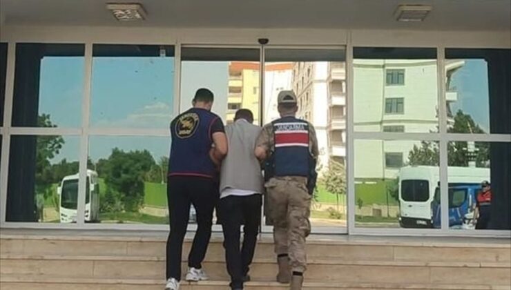 Urfa’da Dolandırıcılık Operasyonu: Zanlı Tutuklandı