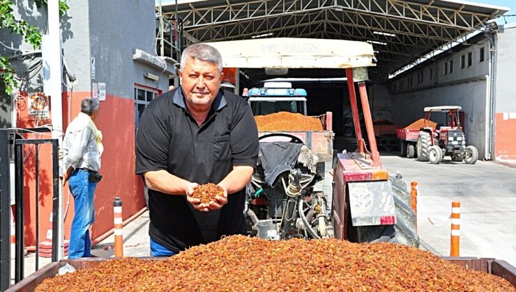 Üzüm alımına başlanan TMO önünde traktör kuyruğu