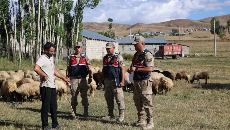 Van’da kırsalda kapı kapı dolaşan jandarma dolandırıcılara karşı vatandaşları bilgilendiriyor