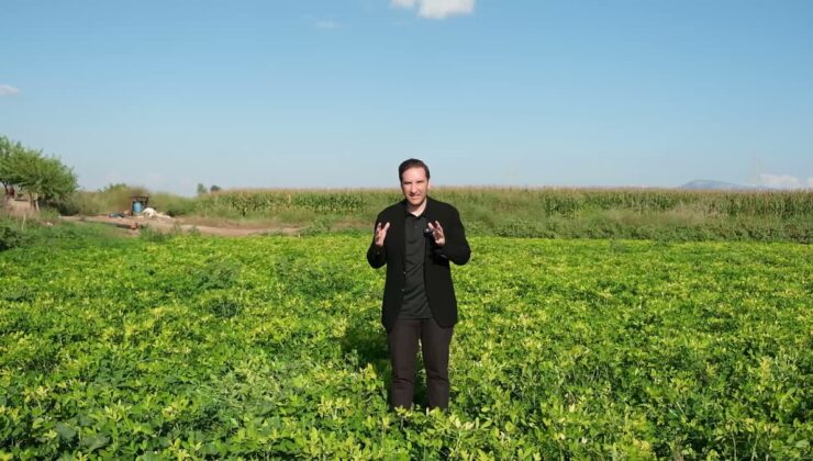 YENİ Partili Bilici, fiyatı 60-70 liraya düşen yer fıstığı için TMO’yu göreve çağırdı
