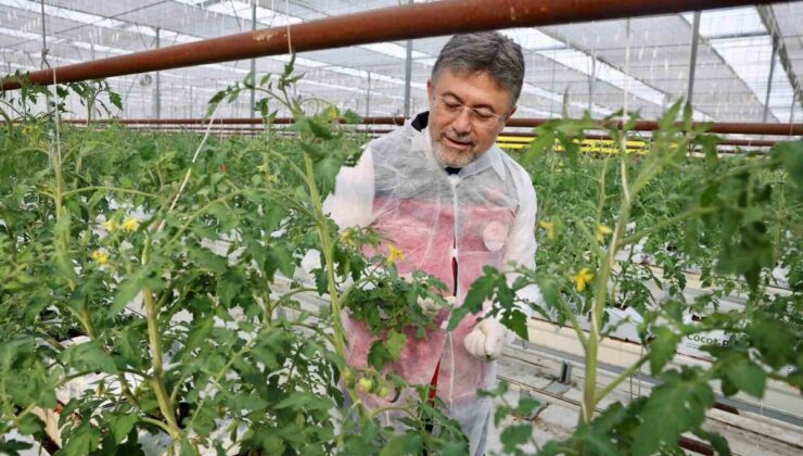 Yumaklı Erzincan’da jeotermal seranın 30 dönümde 90 dönüm verim sağladığını belirtti