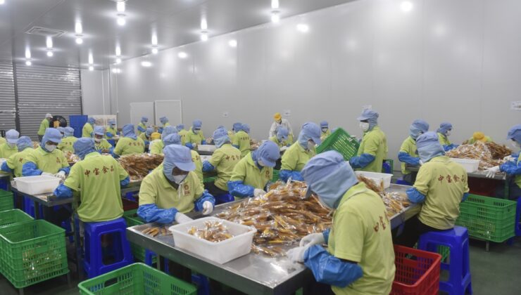 Zhong Bao, Çin’e 12.000 ton kurutulmuş mango ihraç etti, 2026 için kapasite artırıyor