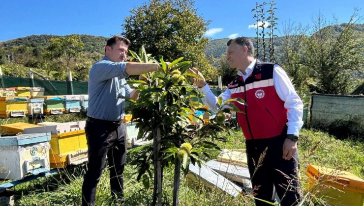 40 kovanla başlayan yolculuk profesyonel arıcılığa dönüştü