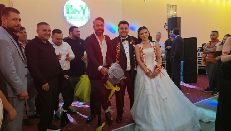 Adana Kozan’da düğünde damadın arkadaşı çifte mangal için keçi hediye etti