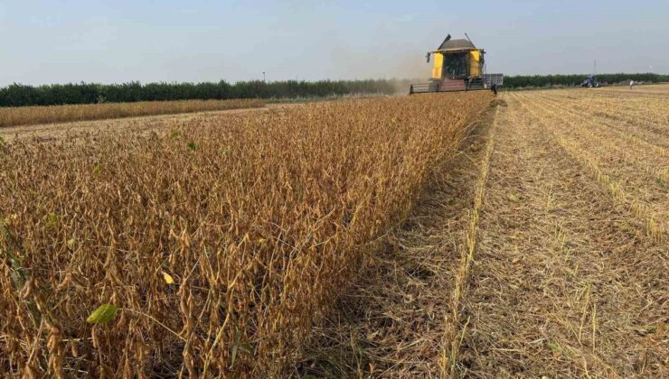 Adana’da 2026 soya hasadında biçerdöver ücretleri düz 350, kırıcılı 370 TL oldu