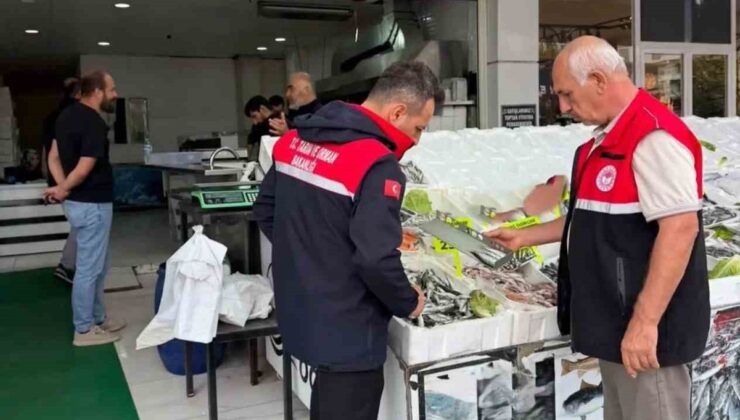 Adıyaman’da su ürünleri satış noktaları İl Tarım ve Orman ekiplerince denetlendi
