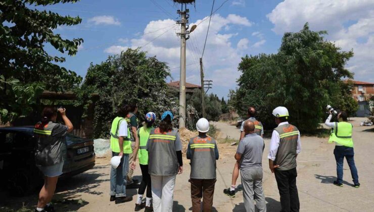 ADM ve GDZ Elektrik, kuş koruma projesini 5 ilde genişletiyor