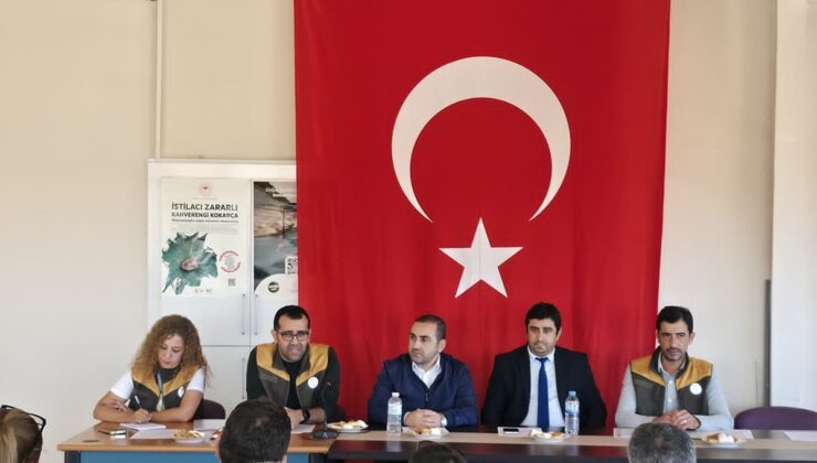 Afyonkarahisar’da haşhaş toplantısında kapsül fiyatı geçen yıla göre yüzde 50 arttı