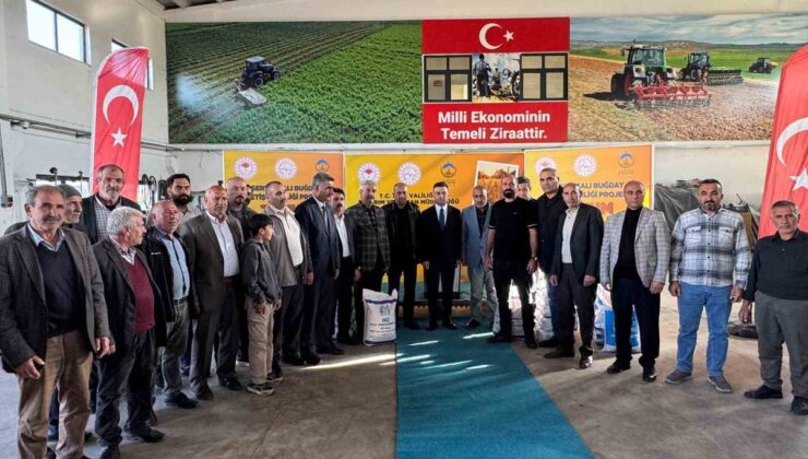 Ağrı Tarım ve Orman İl Müdürlüğü 1100 üreticiye 550 ton buğday tohumu dağıttı