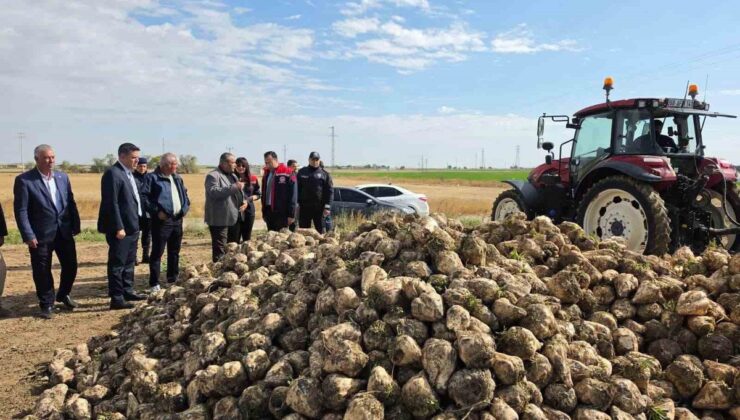 Aksaray Sultanhanı’nda şeker pancarı hasadı başladı, Kaymakam Yerlikaya bilgi aldı