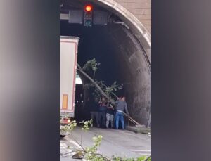 Artvin Hopa’da tünelde heyelan sonrası ağaçlar seyir halindeki araçların üstüne düştü