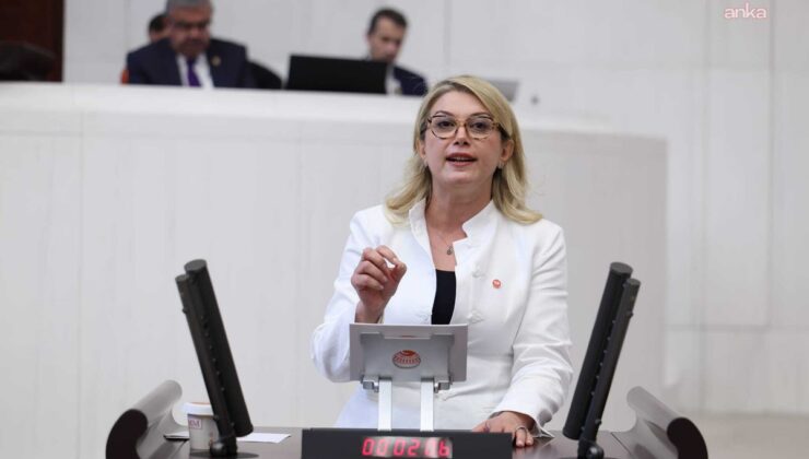 Asu Kaya, Osmaniye’nin eğitim desteği kapsamı dışında tutulmasını TBMM’ye taşıdı