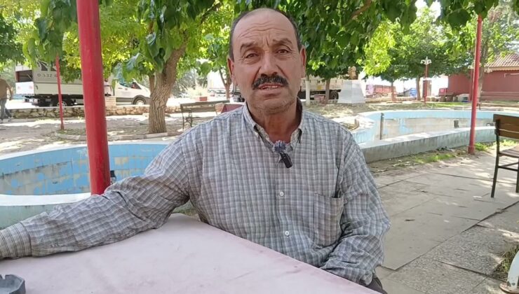 Aydın Karacasu’da zeytin üreticileri düşük fiyata isyan etti, alımlar durdu