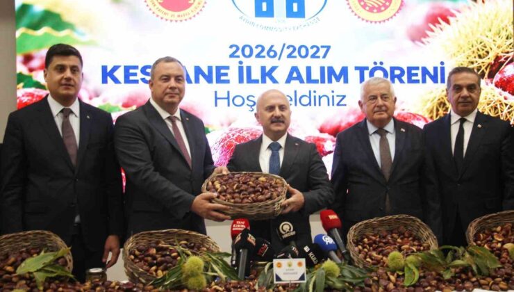 Aydın’da sezonun ilk kestaneleri 16 üreticiden kilogramı 600 TL’den alındı