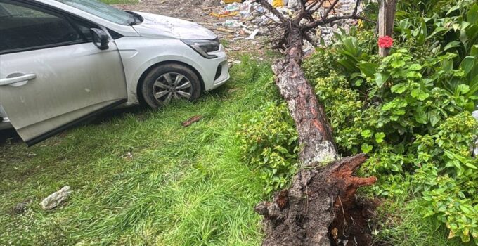 Bağcılar’da yağış ve rüzgarın devirdiği ağaç park halindeki otomobile hasar verdi