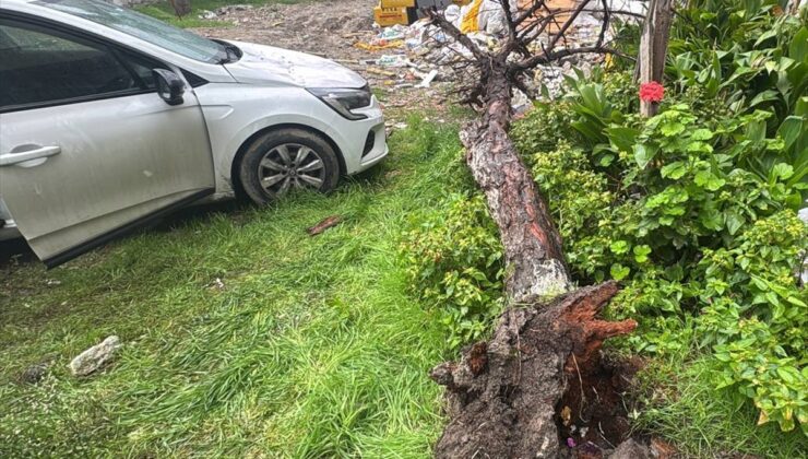 Bağcılar’da yağış ve rüzgarın devirdiği ağaç park halindeki otomobile hasar verdi