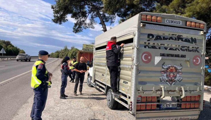 Balıkesir’de canlı hayvan nakil araçları Tarım ve Orman ekiplerince denetlendi