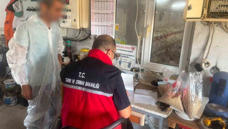 Balıkesir’de eş zamanlı yem denetiminde 97 numune laboratuvara gönderildi