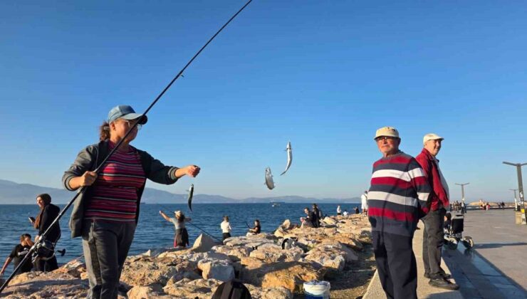 Bandırma’da sıcaklık 25 dereceye çıkınca vatandaşlar tırsi avına akın etti