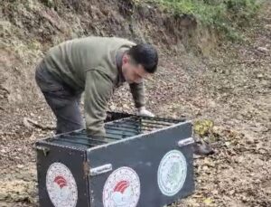 Bartın’da otomobilin çarptığı 3 yaşındaki karaca 3 günlük tedaviyle doğaya salındı