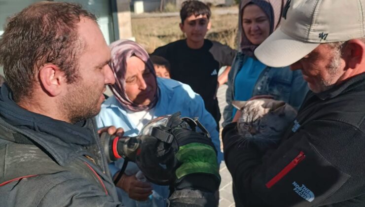 Bilecik Bozüyük’te apartman dairesinde çıkan yangın söndürüldü, kedi kurtarıldı