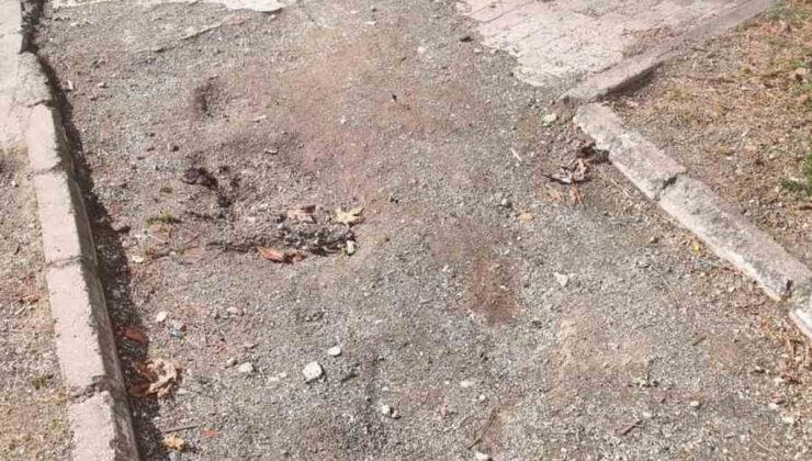 Bilecik’te 32 Evler Parkı bakımsızlığıyla mahalle sakinlerinin tepkisini çekti