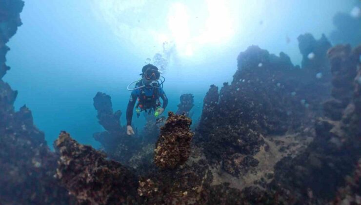 Bilim insanları Van Gölü’ndeki mikrobiyalitleri Salda ve Mars’la karşılaştıracak
