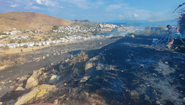 Bodrum Akyarlar’da makilik alandaki yangın itfaiyenin müdahalesiyle söndürüldü